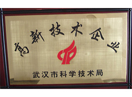 武漢市(shi)高(gao)新(xin)技(ji)術(shù)齊(qi)業
